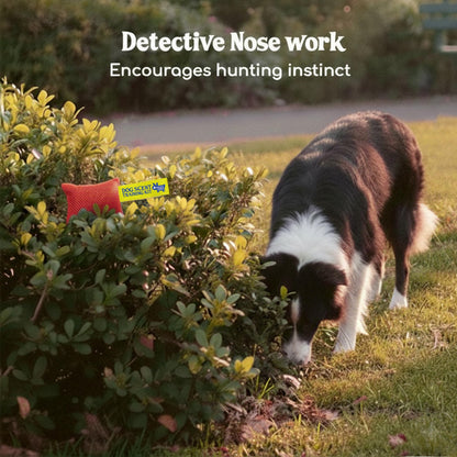 Original Dog Scent Training Kit — 10 Pcs Pouches Nosework Set (Cherry)