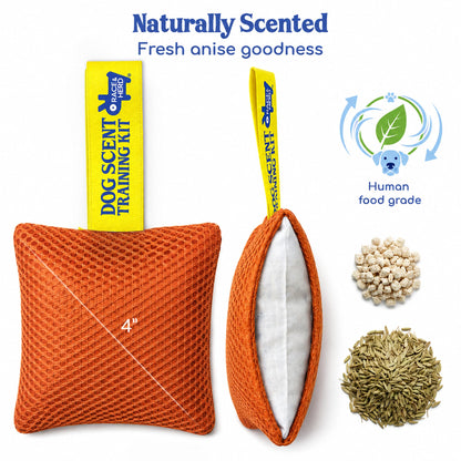 Original Dog Scent Training Kit — 10 Pcs Pouches Nosework Set (Tangerine)