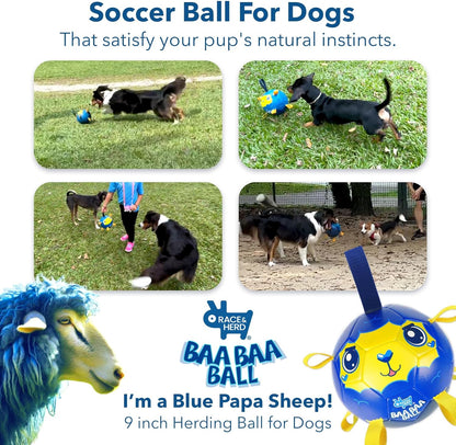 BaaBaa Ball |  Dog Soccer Ball With Tabs