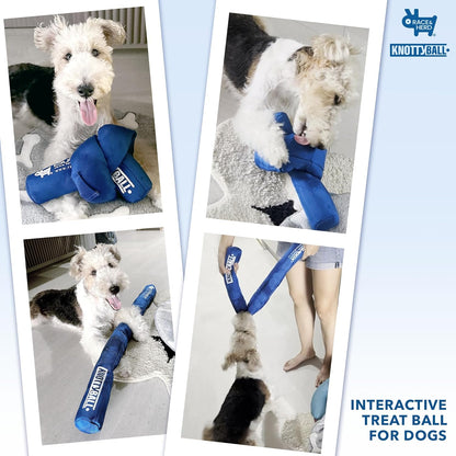 Knotty Ball | Snuffle Ball for Dogs