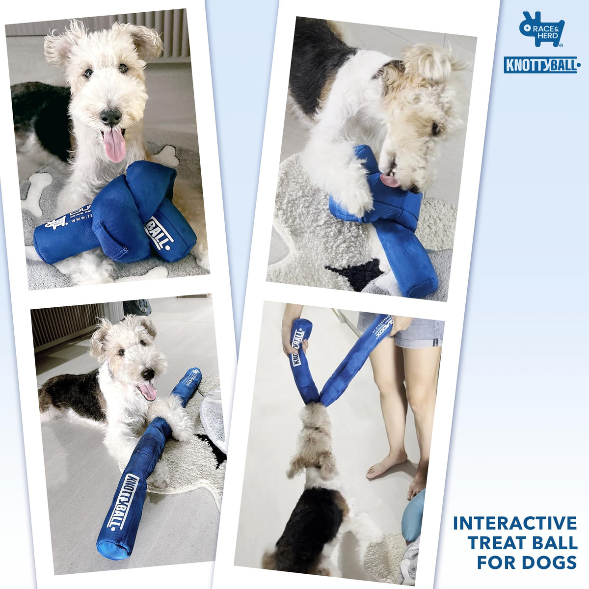 Knotty Ball | Snuffle Ball for Dogs