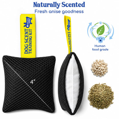 Original Dog Scent Training Kit — 10 Pcs Pouches Nosework Set (Onyx)