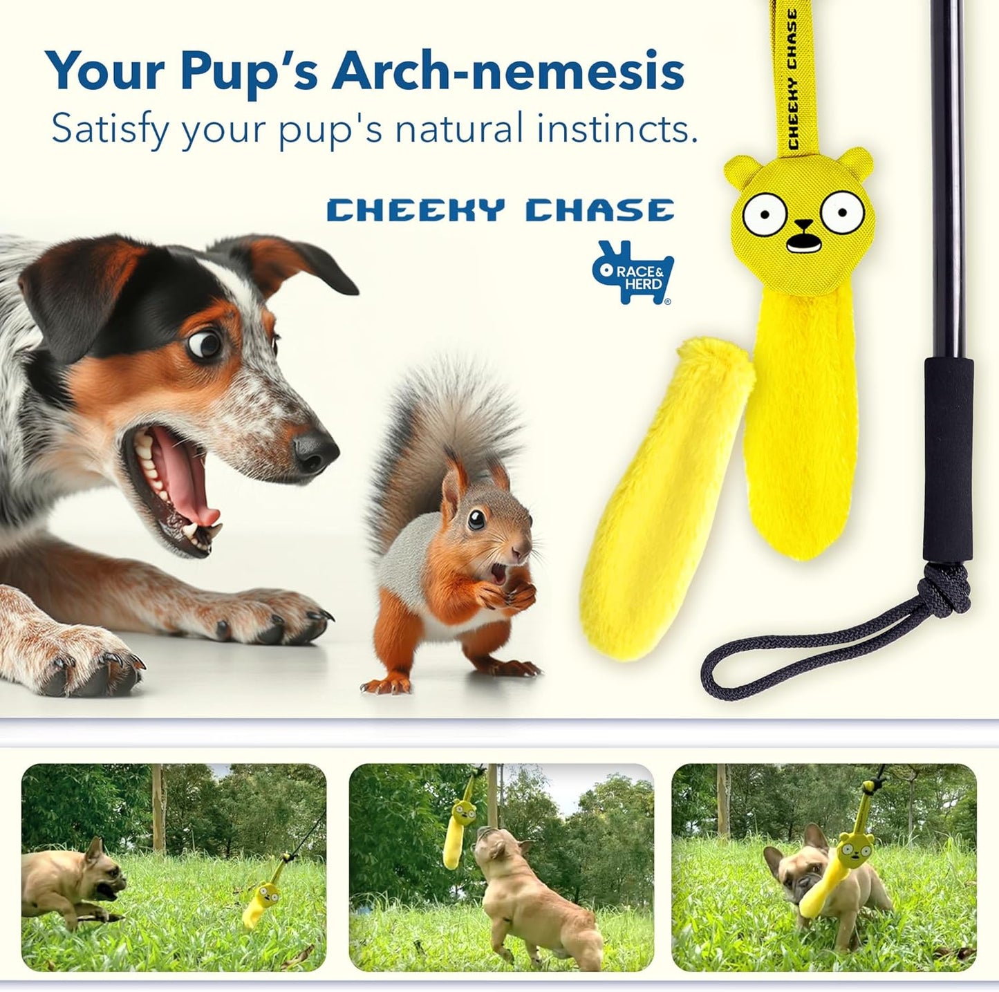 Cheeky Chase - Dog Flirt Pole