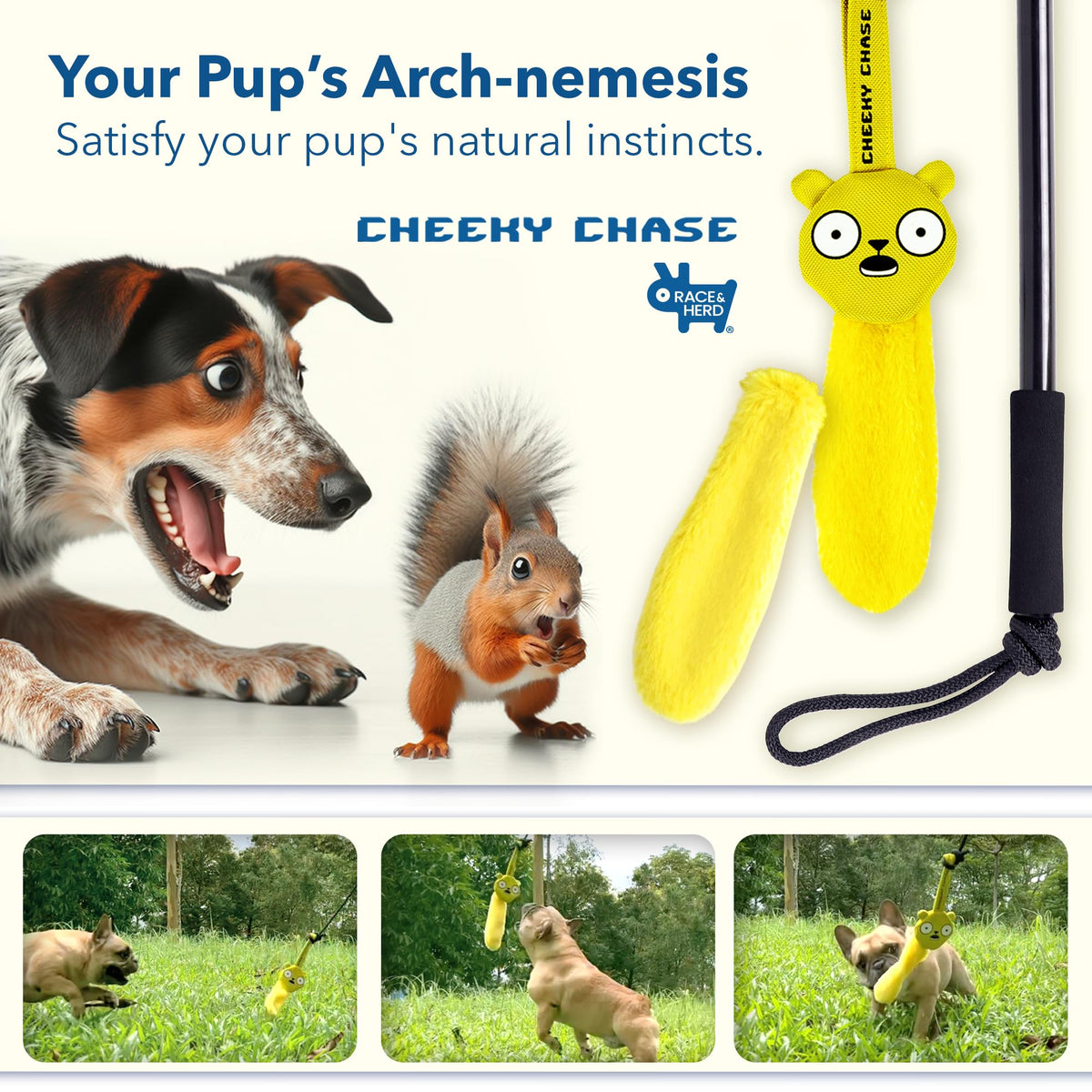 Flirt Pole Dog Toy
