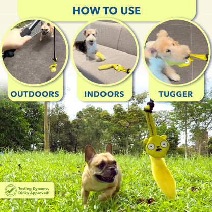 Flirt Pole Dog Toy
