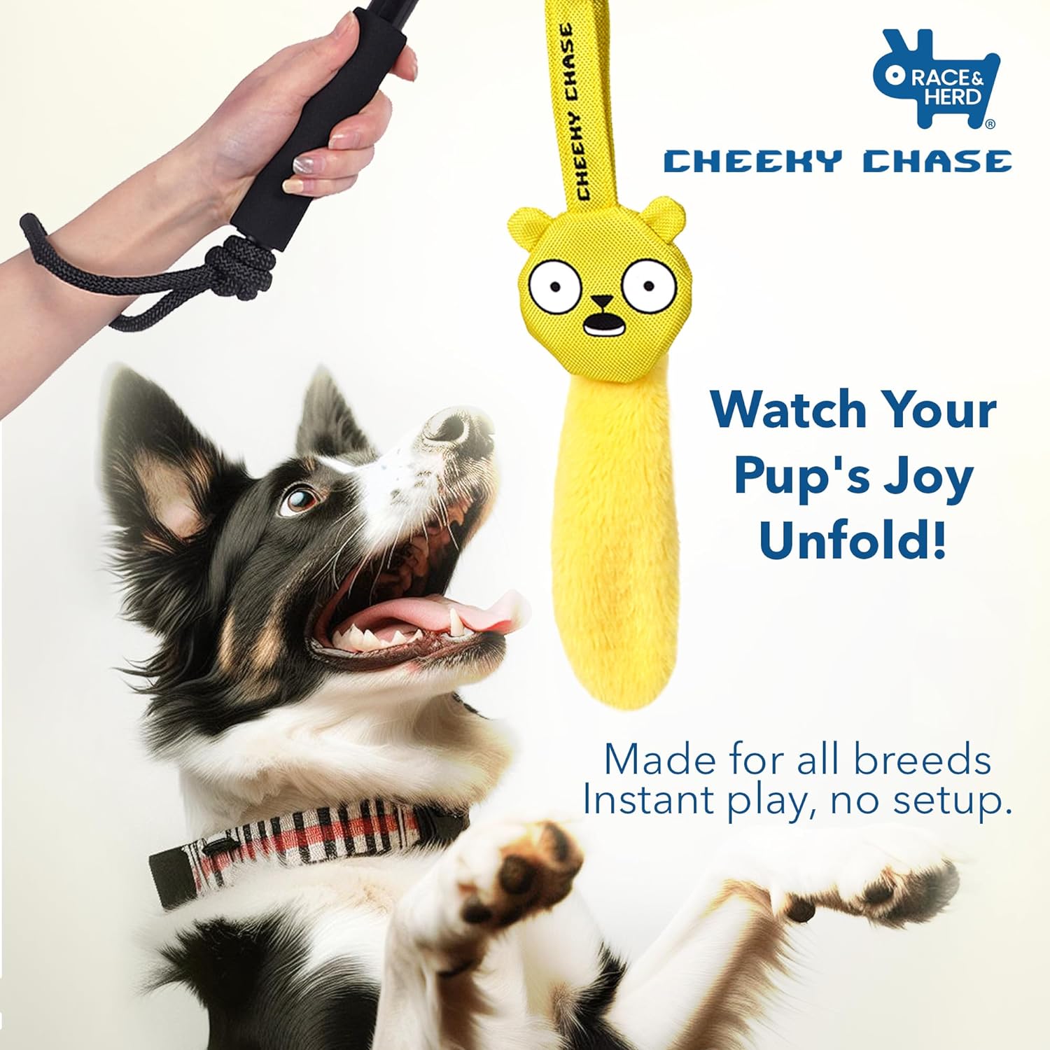 Fishing Pole Dog Toy Flirt Pole Amazon Flirt Pole For Small Dogs