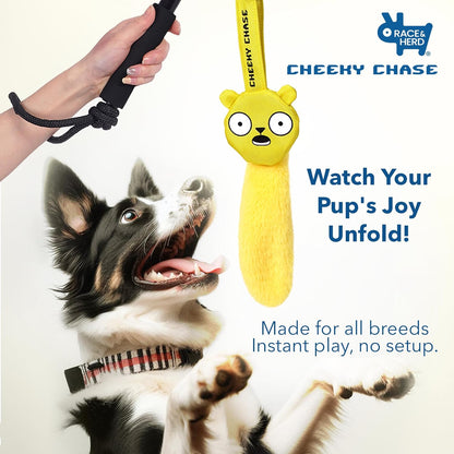 Cheeky Chase - Dog Flirt Pole