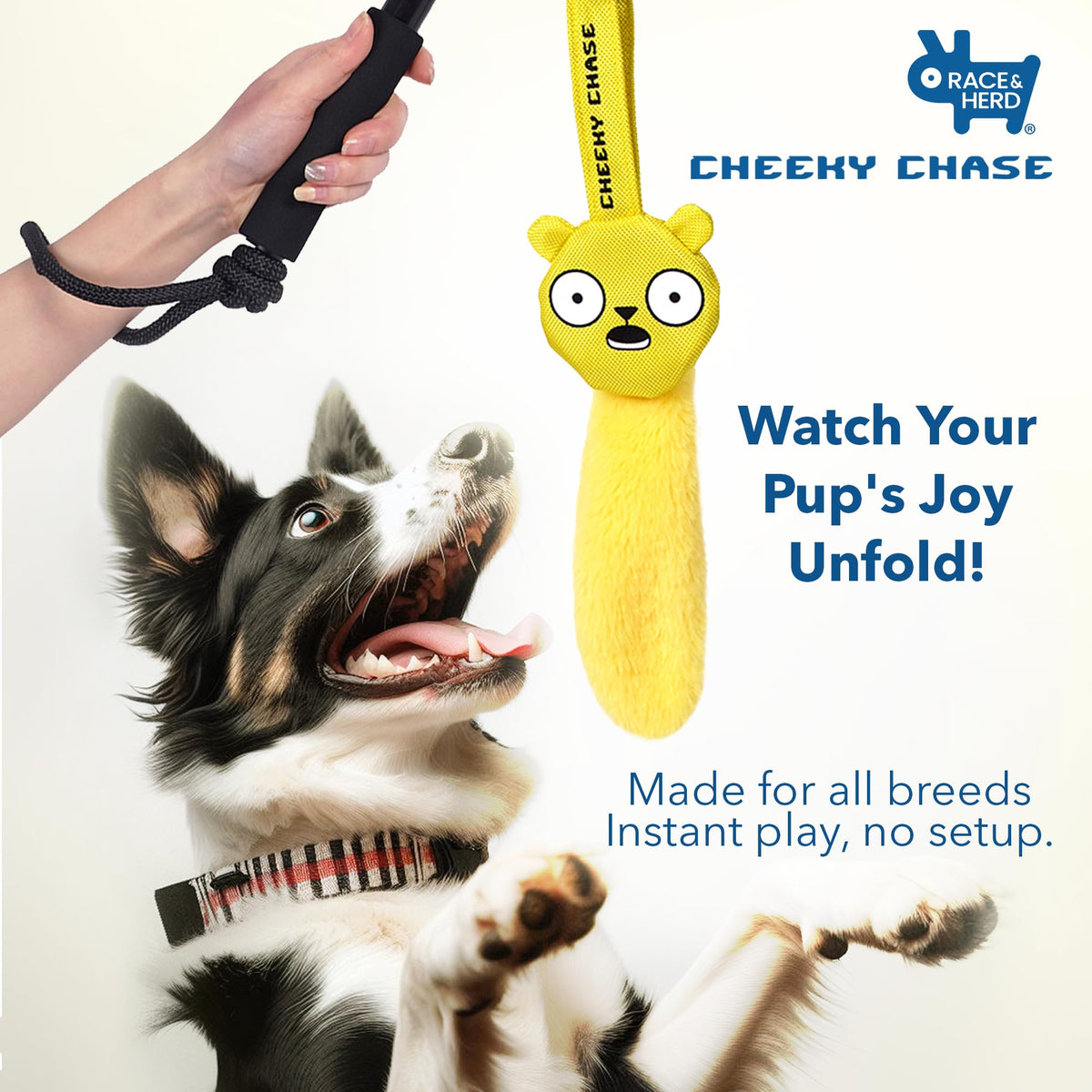 Flirt Pole Dog Toy
