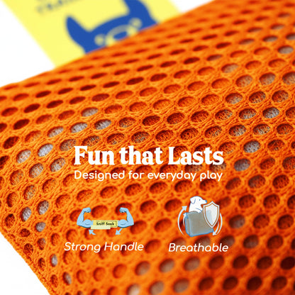 Original Dog Scent Training Kit — 10 Pcs Pouches Nosework Set (Tangerine)