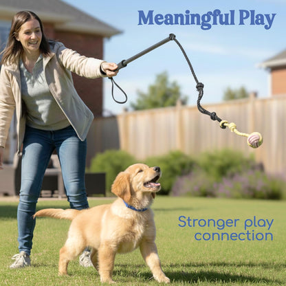 Outward Hound Tail Teaser | Dog Flirt Pole Toy