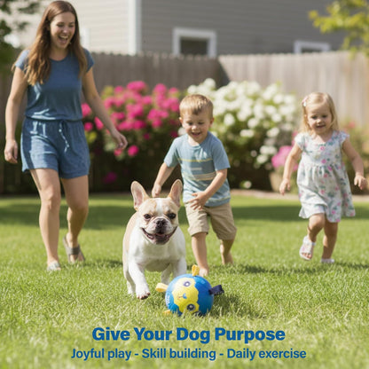 BaaBaa Ball |  Dog Soccer Ball With Tabs