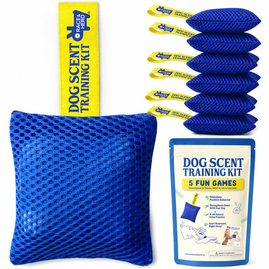 Original Dog Scent Training Kit — 6 Pcs Pouches Nosework Set (Blue, Bag)