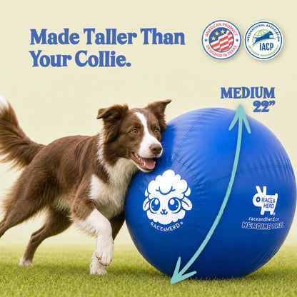Original Herding Ball for Dogs — Balls for Dog Toys 22" (Ocean)