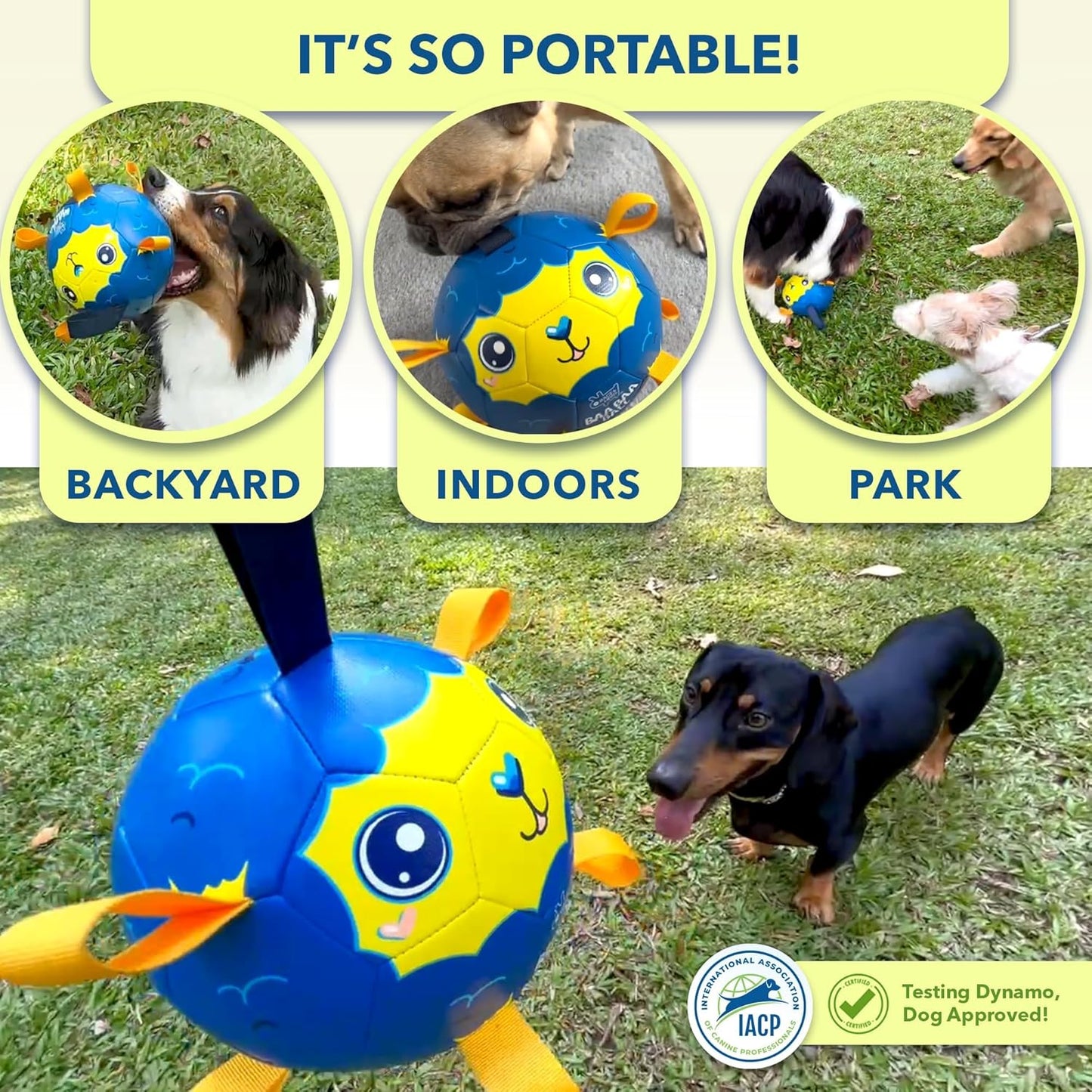 BaaBaa Ball |  Dog Soccer Ball With Tabs