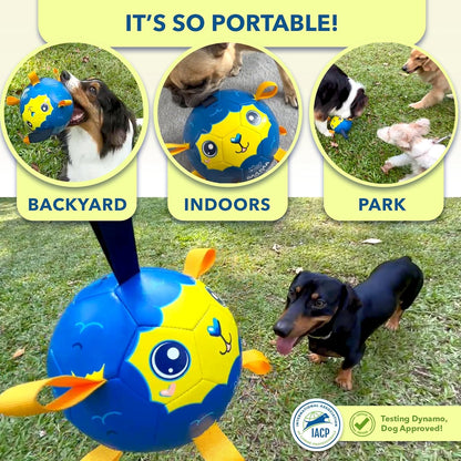 BaaBaa Ball |  Dog Soccer Ball With Tabs