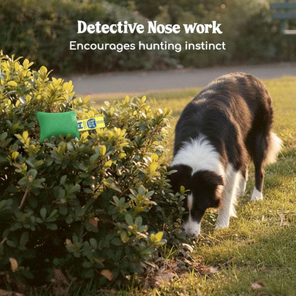 Sniff and Seek Dog Scent Game | Scent Training for Dogs | Green - 10 Pack Box