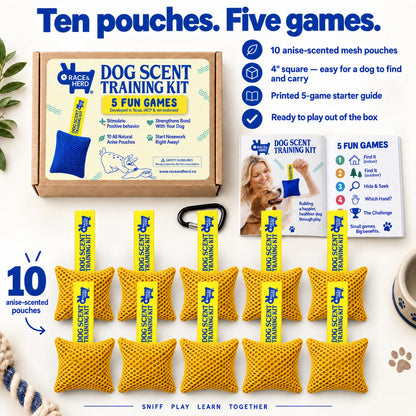 Original Dog Scent Training Kit — 10 Pcs Pouches Nosework Set (Gold)