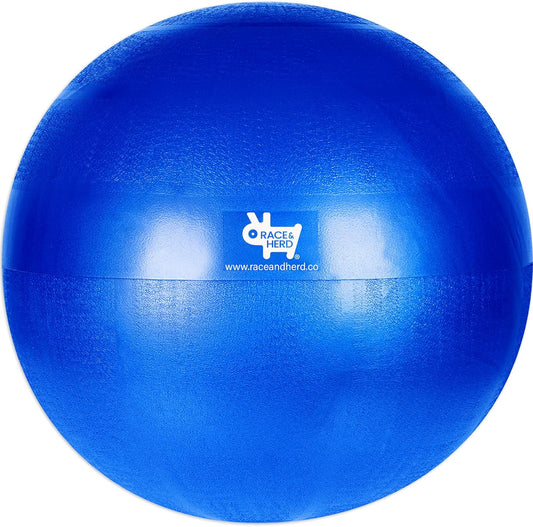 25" Herding Ball Replacement | Inner Ball Only