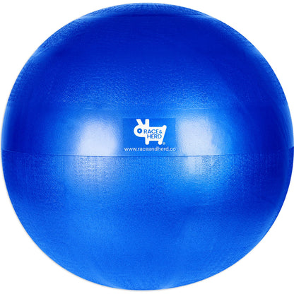 Herding Ball Replacement  — Large 25" Inner Ball Only