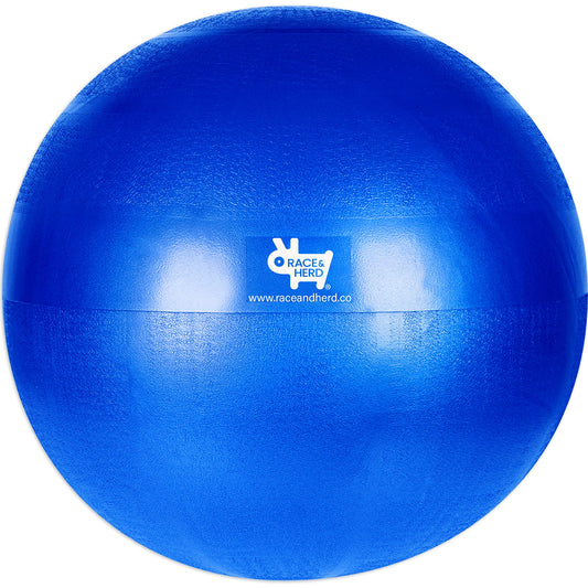 Herding Ball Replacement  — Large 25" Inner Ball Only