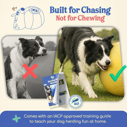 Herding Ball for Dogs — Medium 22" (Yellow)