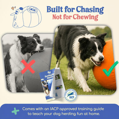 Herding Ball for Dogs — Large 25" (Tangerine)