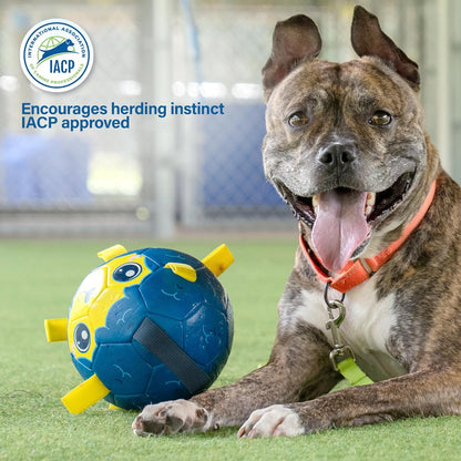 BaaBaa Ball |  Dog Soccer Ball With Tabs