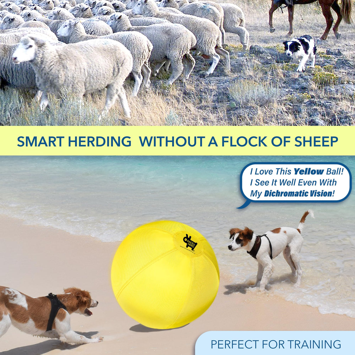 Herding Ball Replacement — Small 18" Cover Only