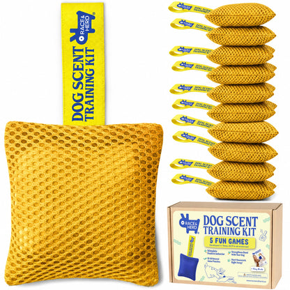 Original Dog Scent Training Kit — 10 Pcs Pouches Nosework Set (Gold)