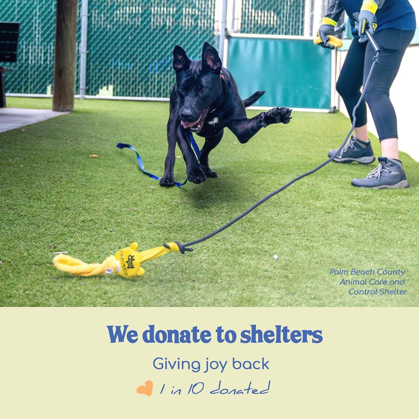 Outward Hound Tail Teaser | Dog Flirt Pole Toy