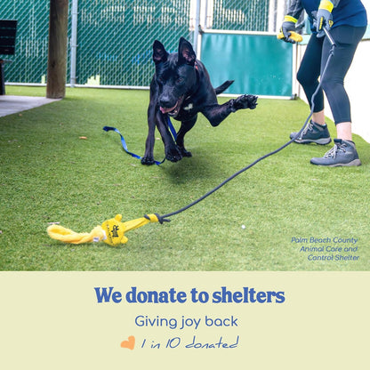 Outward Hound Tail Teaser | Dog Flirt Pole Toy