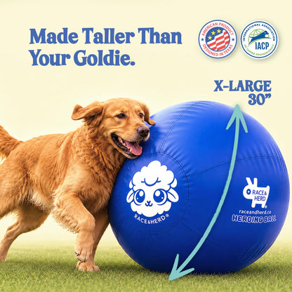 Herding Ball for Dogs — XLarge 30" (Blue)