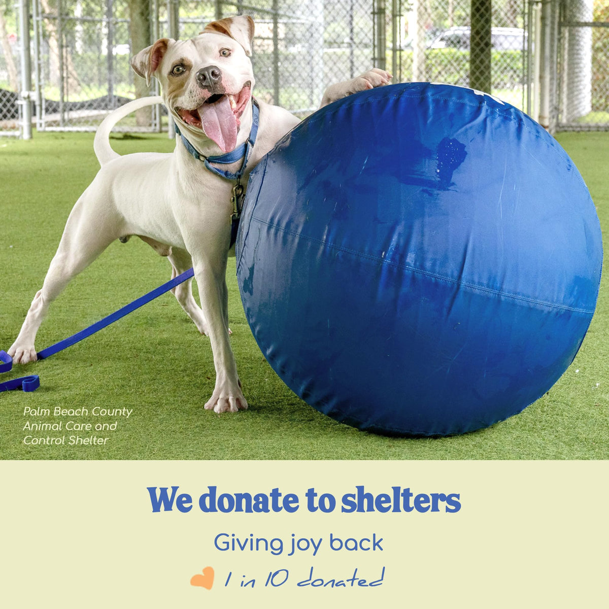 Herding Ball for Dogs — XLarge 30" (Tangerine)