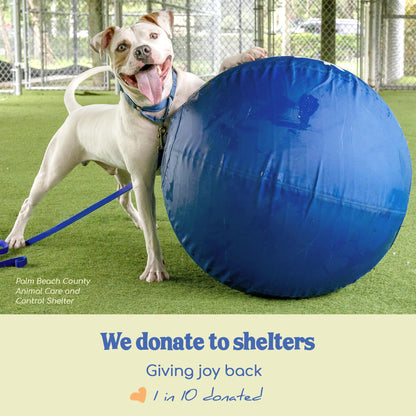Herding Ball for Dogs — XLarge 30" (Tangerine)