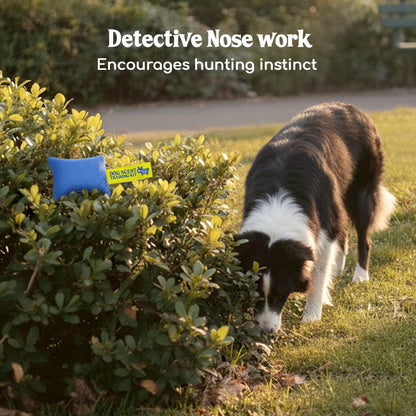 Original Dog Scent Training Kit — 6 Pcs Pouches Nosework Set (Blue, Bag)