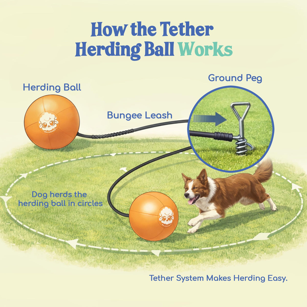 Herding Ball for Dogs Tetherball Set Outside 22" (Gold)