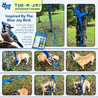 Tug-A-Jay - Tree Tugger Rope Dog Toy