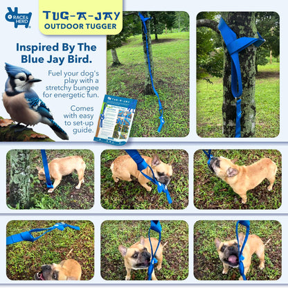 Tree Tugger Dog Toy