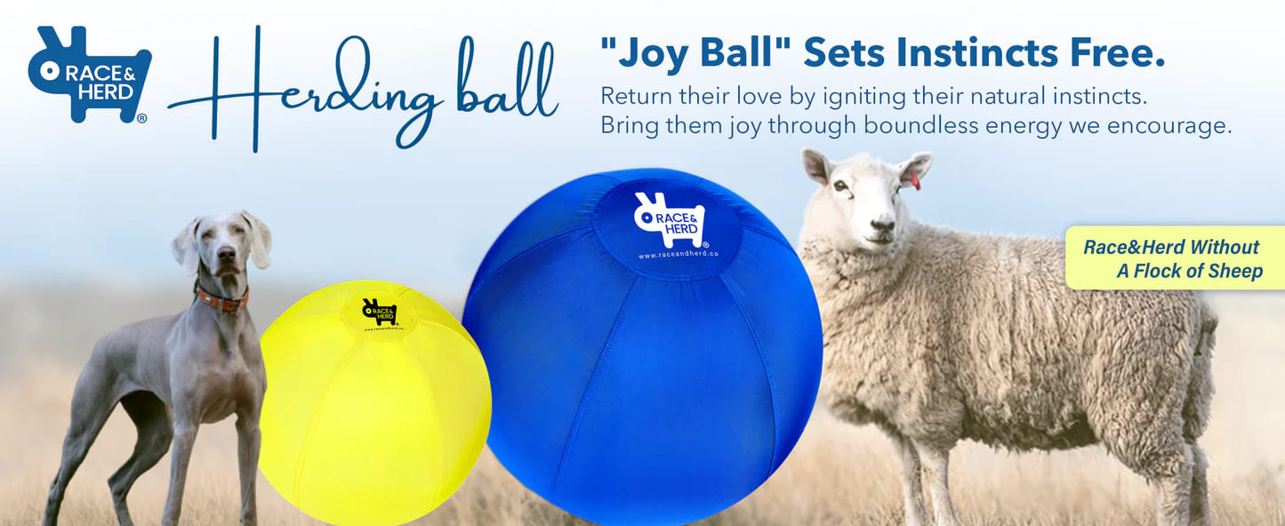 Herding Ball for Dogs (Small & Puppy) - 18" Complete Set