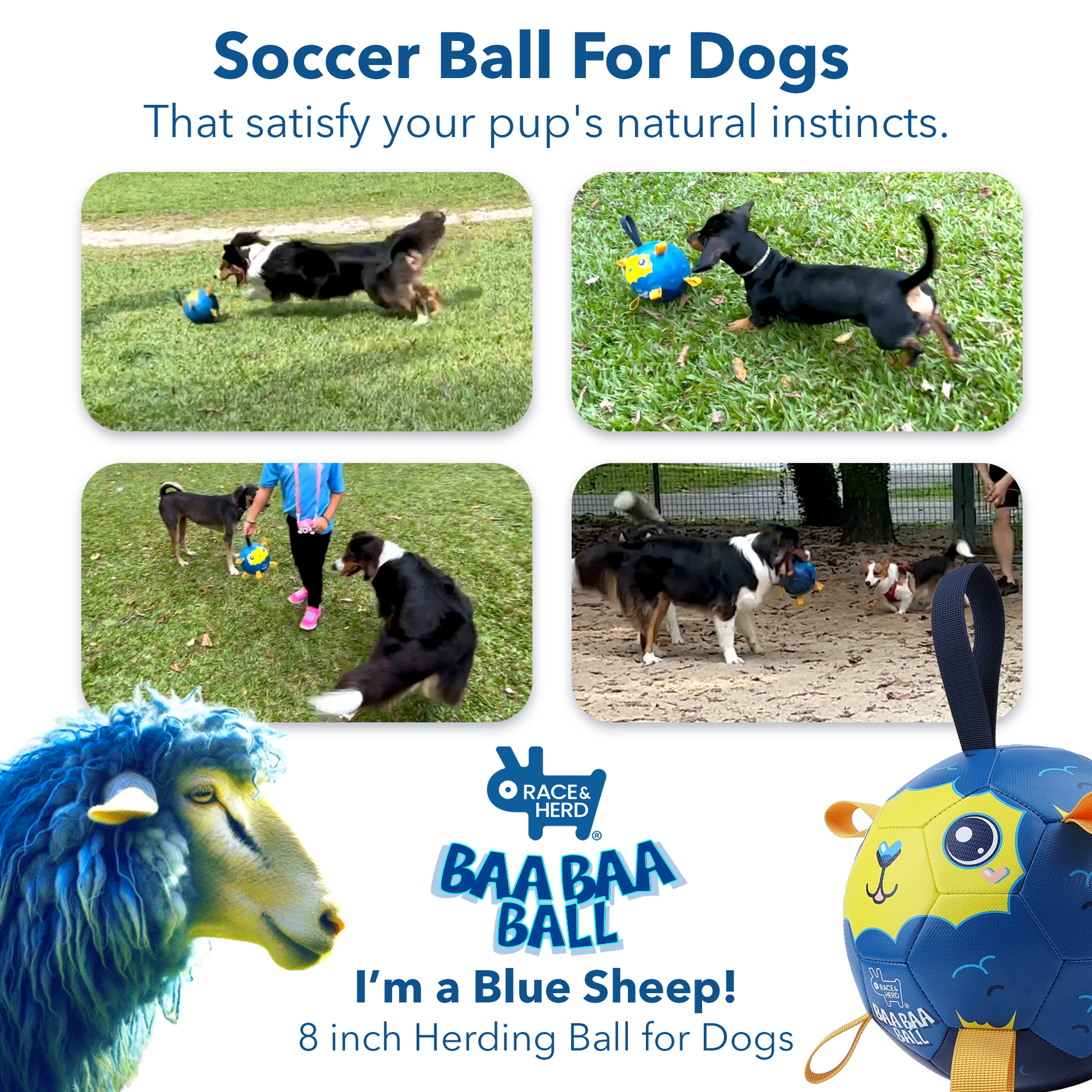 Soccer Ball for Dog