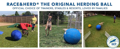 18" Herding Ball for Dogs | Small