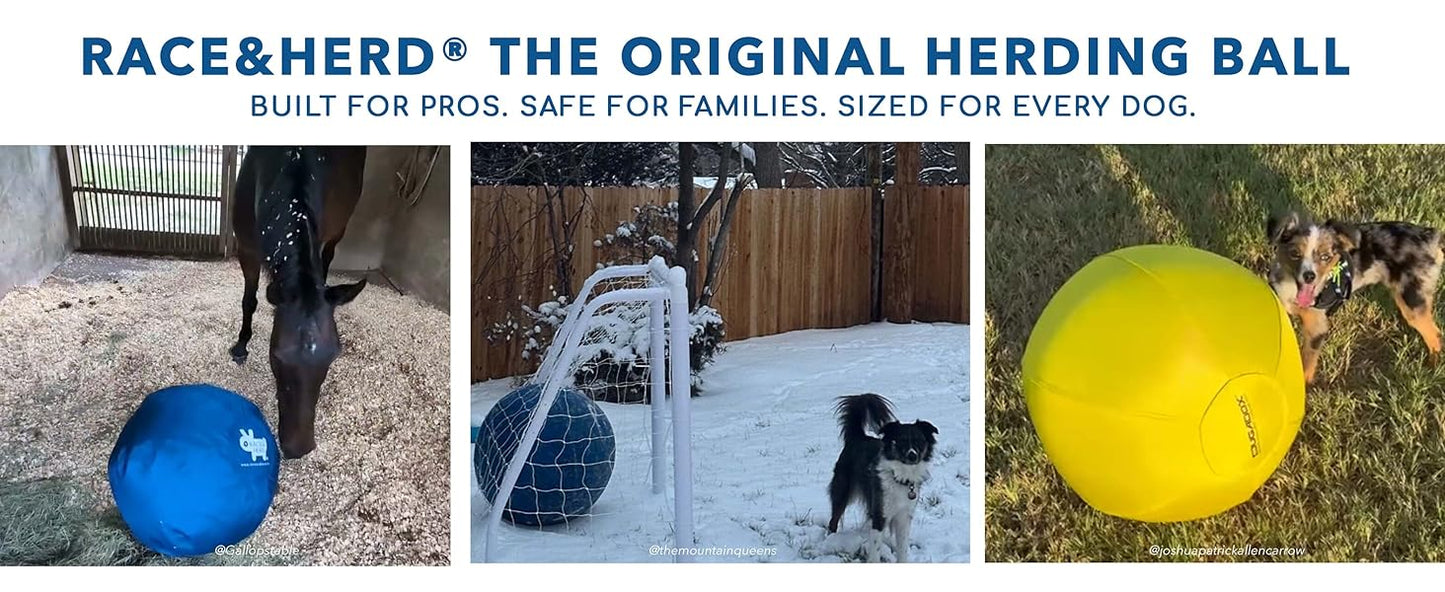 18" Herding Ball for Dogs | Small