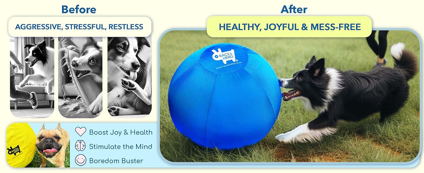 18" Herding Ball for Dogs | Small