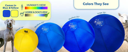 18" Herding Ball for Dogs | Small