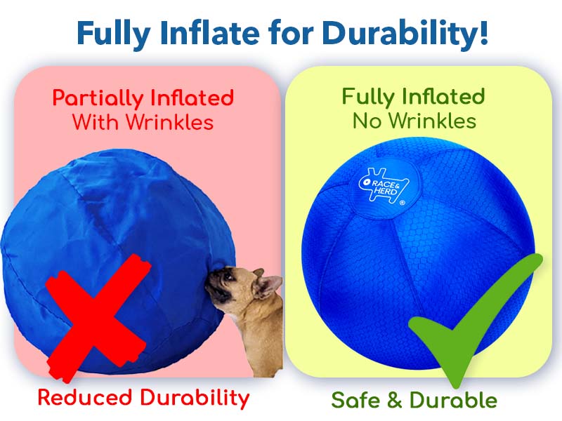 18" Herding Ball for Dogs | Small