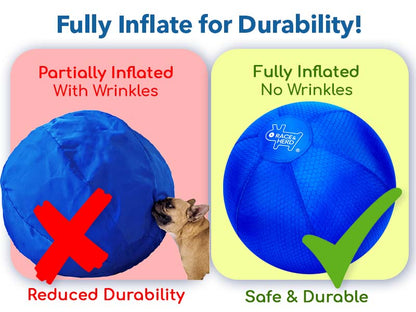 18" Herding Ball for Dogs | Small