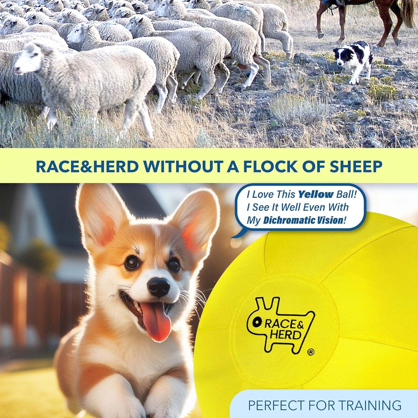 18" Herding Ball for Dogs | Small
