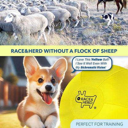 18" Herding Ball for Dogs | Small