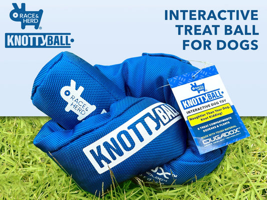 Knotty Ball Snuffle Ball for Dogs