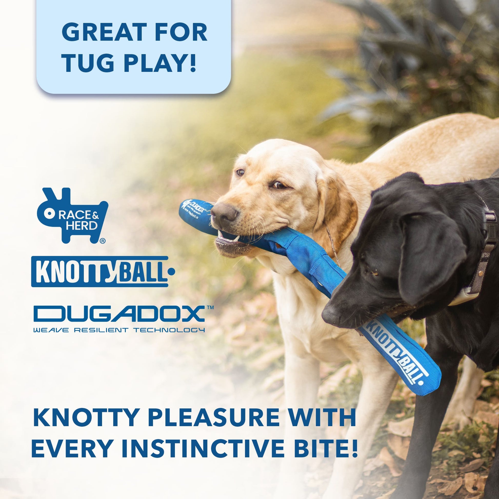 Knotty Ball Snuffle Ball for Dogs